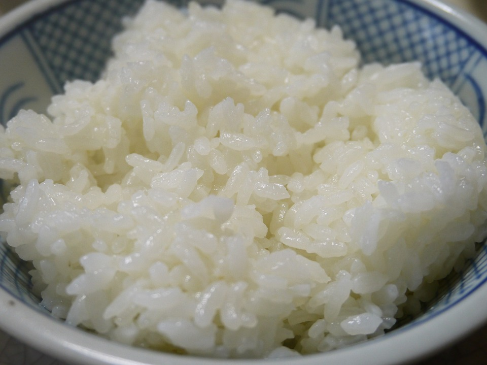 Peut-on mettre du riz dans du compost ?