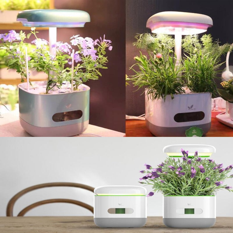 Système autonome pour plantes aromatiques - cultivez dans votre cuisine